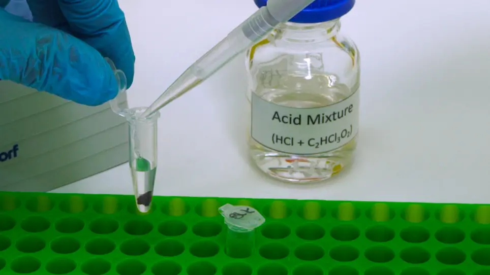 Measurement of Tissue Non-Heme Iron Content using a Bathophenanthroline-Based Colorimetric Assay