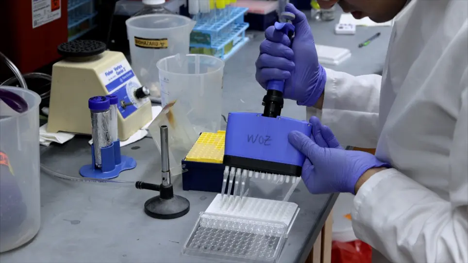 Standardized <em>In vitro</em> Assays to Visualize and Quantify Interactions between Human Neutrophils and <em>Staphylococcus aureus</em> Biofilms