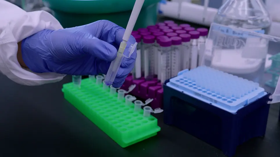 Concanavalin A-Based Sedimentation Assay to Measure Substrate Binding of Glucan Phosphatases