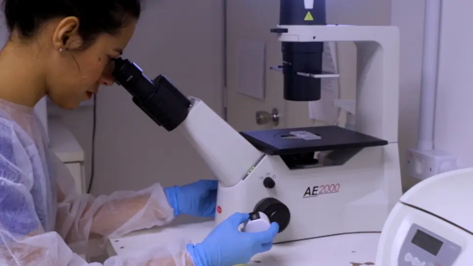 Cytotoxicity Assays with Zebrafish Cell Lines