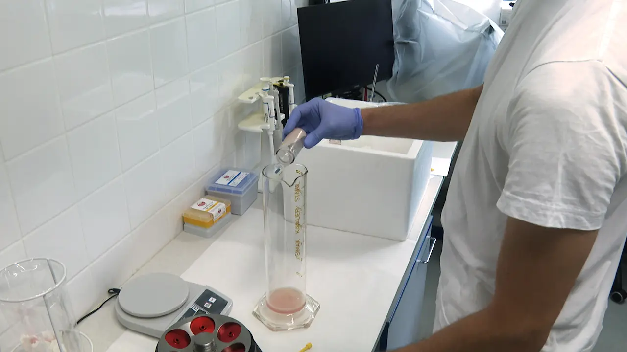 Optimizing Tubulin Yield from Porcine Brain Tissue