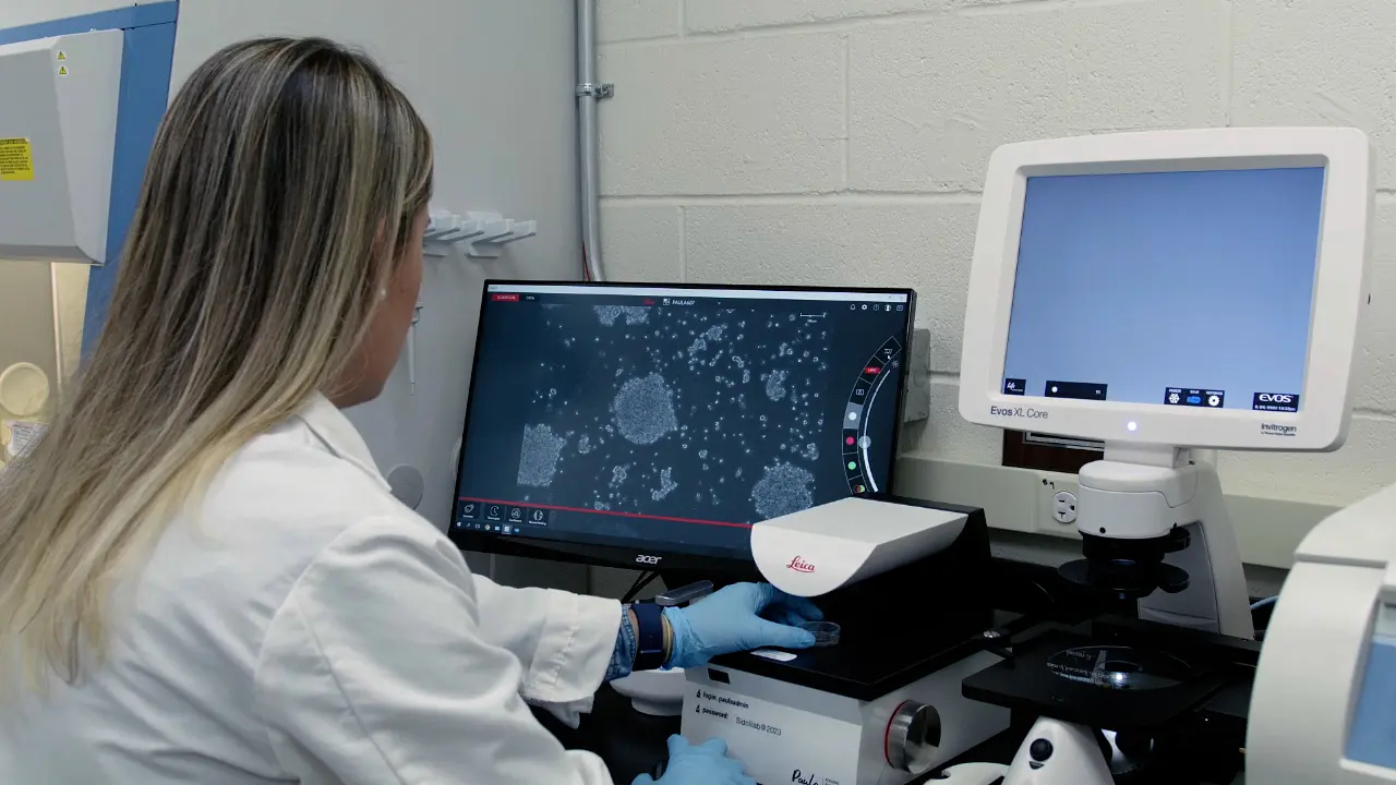 Semi-Automated Phenotypic Analysis of Functional 3D Spheroid Cell Cultures