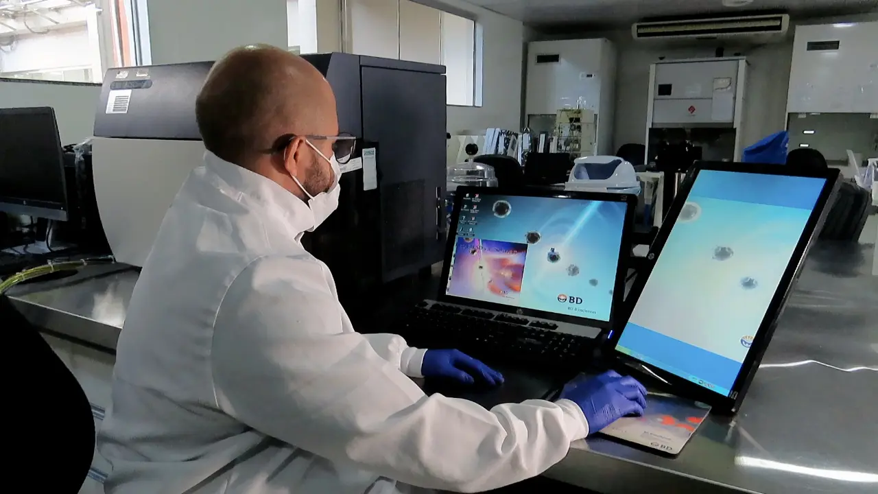 Standardization of a Cytometric Bead Assay Based on Egg-Yolk Antibodies