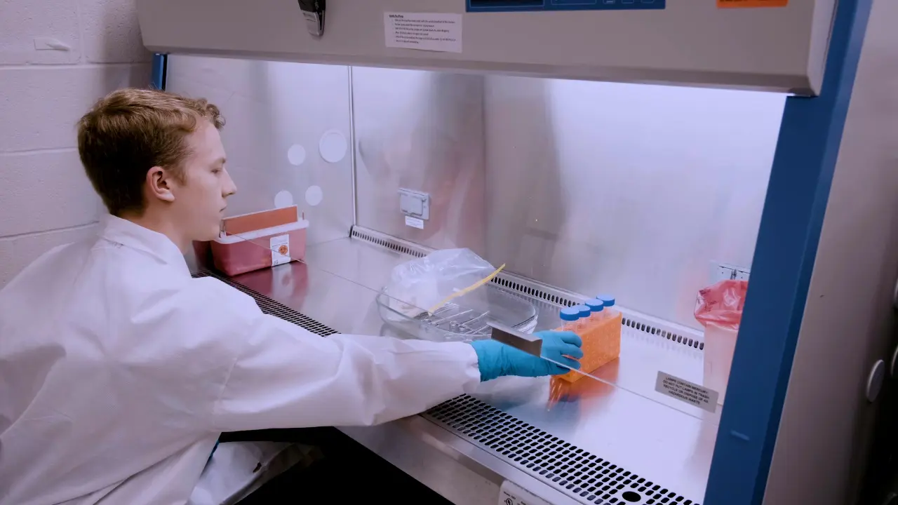 Dissection and Isolation of Region-Specific Decellularized Lung Tissue