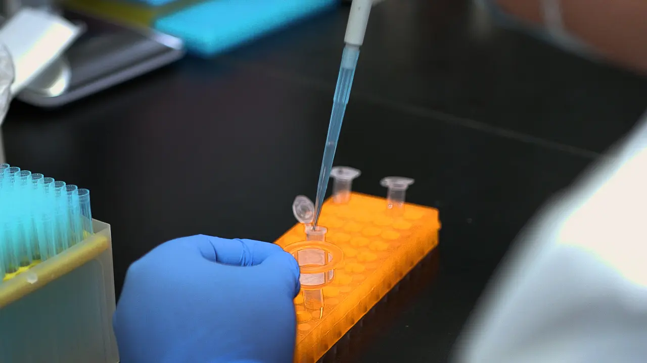 Preparation of a Single-Cell Suspension from Mouse Carotid Arteries for Single-Cell Sequencing