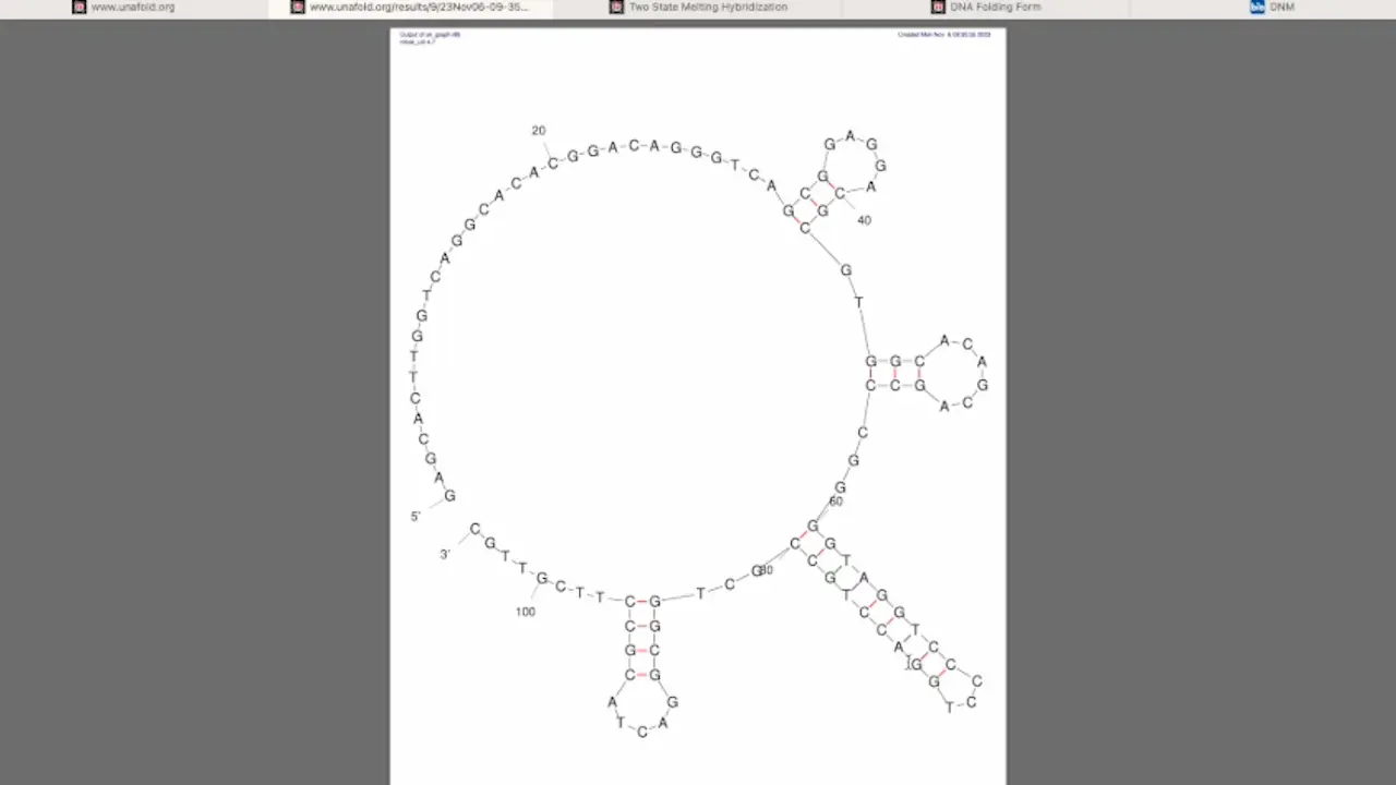 DNAzyme 10-23 - Based Nanomachines for Nucleic Acid Recognition