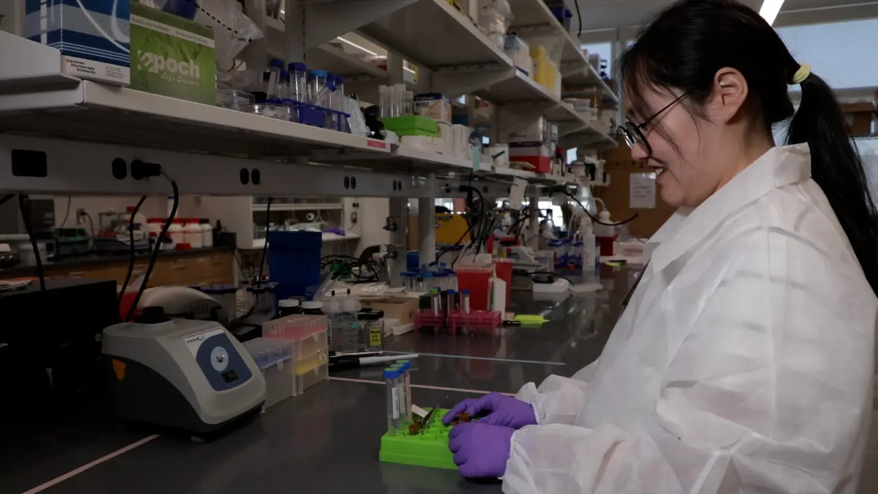 Optical Photothermal Infrared-Fluorescence In Situ Hybridization (OPTIR-FISH)