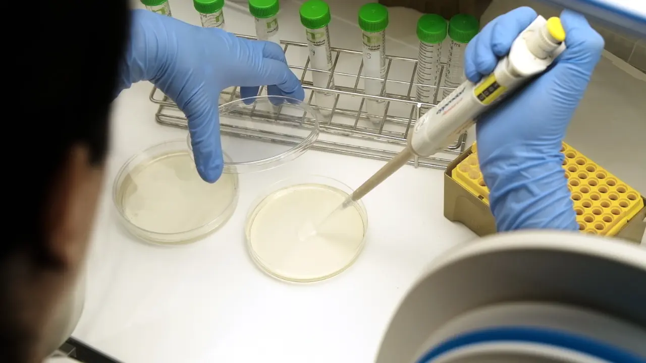 Strategies to Enhance Cultivation of Anaerobic Bacteria from Gastrointestinal Tract of Chicken