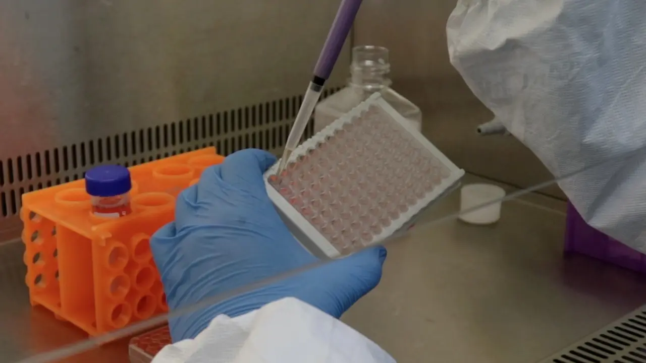 Three&#45;Dimensional Cell Culture of Adipose-Derived Stem Cells in a Hydrogel with Photobiomodulation Augmentation