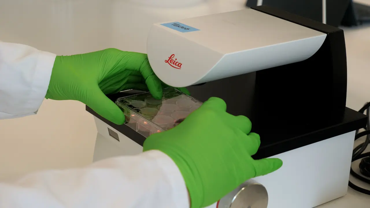 Production and Multi-Parameter Live Cell Fluorescence Lifetime Imaging Microscopy (FLIM) of Multicellular Spheroids