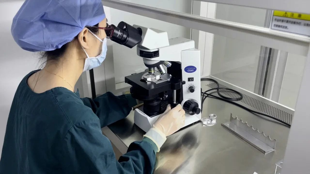 The Immediate Partial Removal of Cumulus-Oocyte Complexes: A Refined Approach for Rapid Observation of In Vitro Fertilization