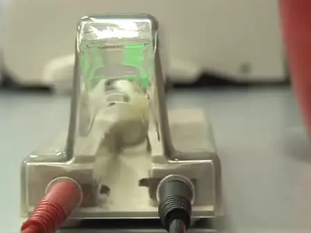 Electroporation of Mycobacteria