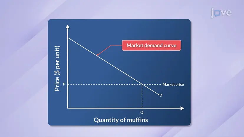 Consumer Surplus: Graphical Explanation