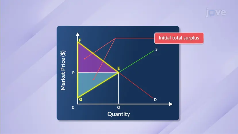 Supply and Demand, and Efficiency in a Perfectly Competitive Market I