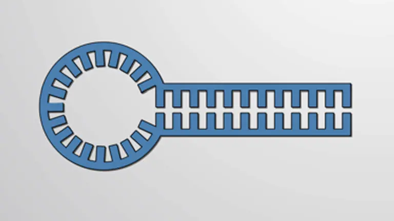 MicroRNAs