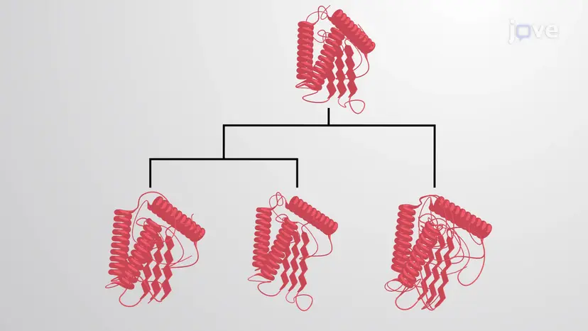 Protein Families