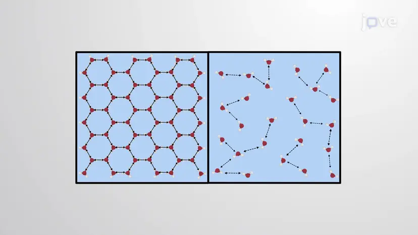 Speed of Sound in Solids and Liquids