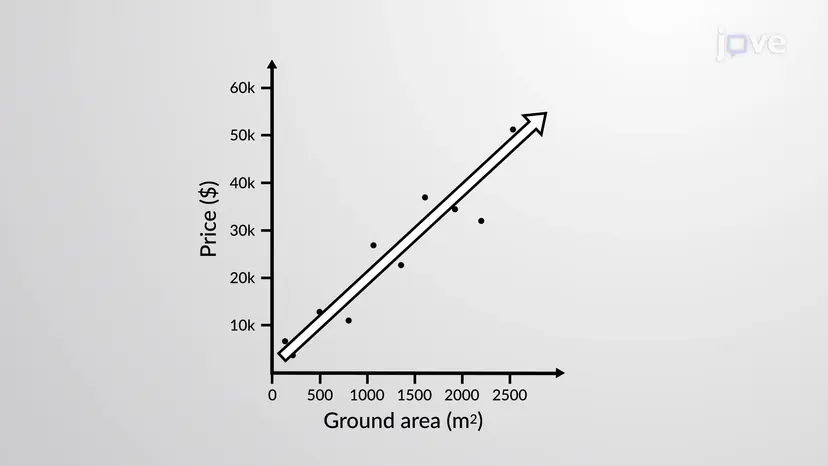 Scatter Plot