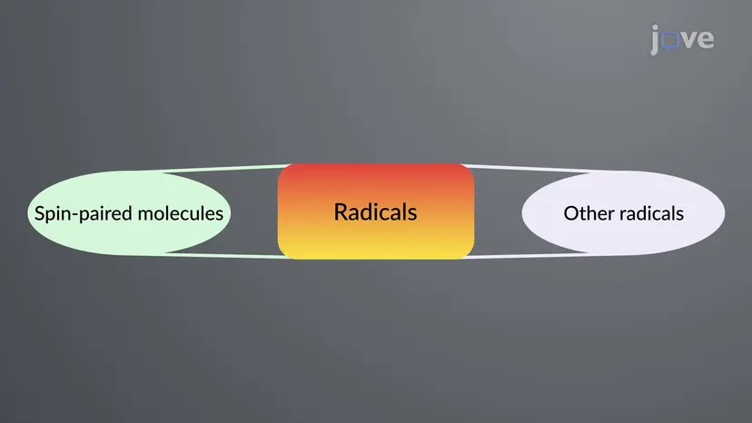 Formazione radicale: panoramica