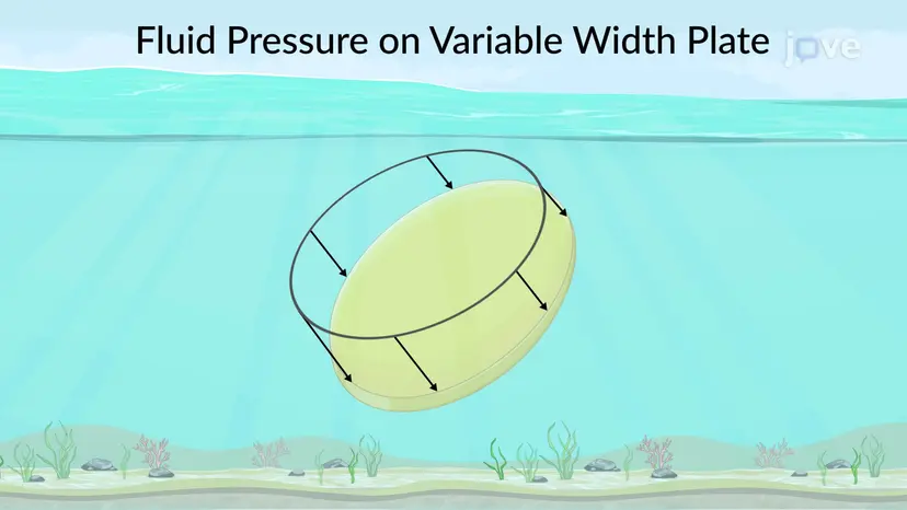 Fluid Pressure over Flat Plate of Variable Width