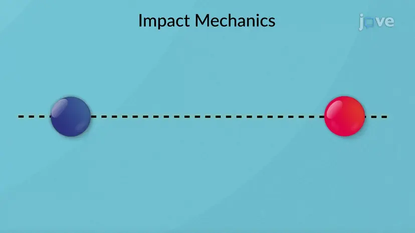 Impact