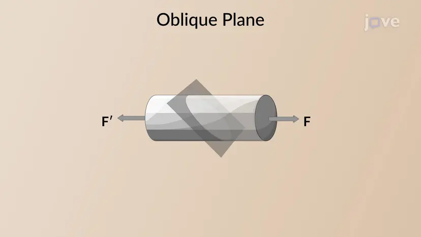 Stress on an Oblique Plane