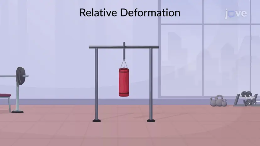 Deformation of Member under Multiple Loadings