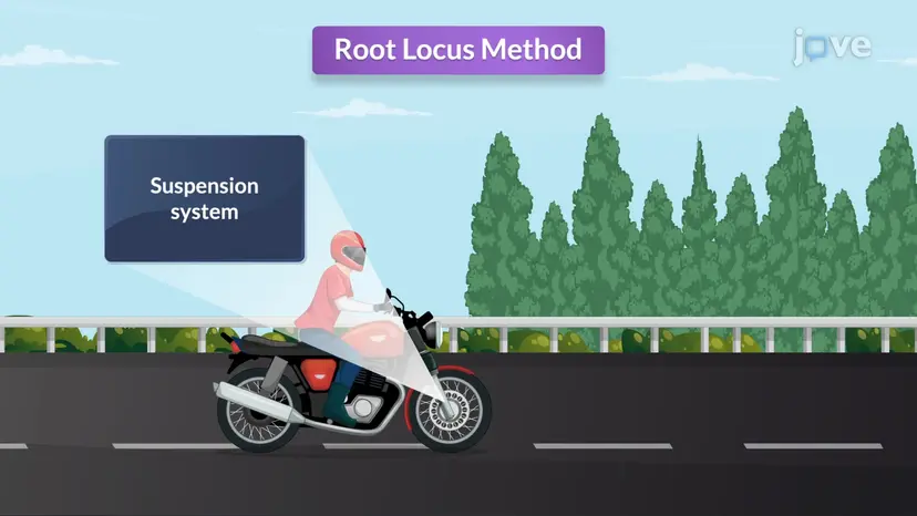 Propiedades del locus radicular