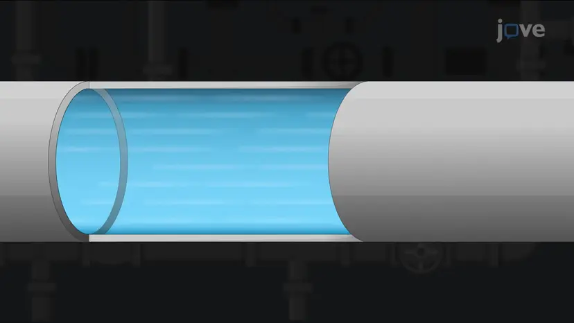 Steady, Laminar Flow in Circular Tubes