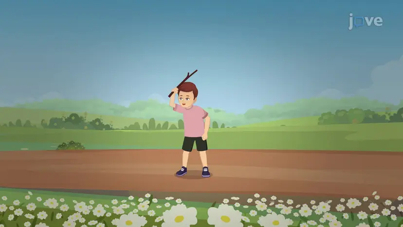 Piaget's Stage 2 of Cognitive Development