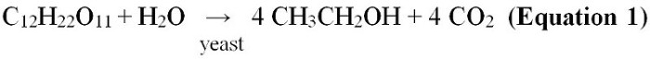 Equation 1