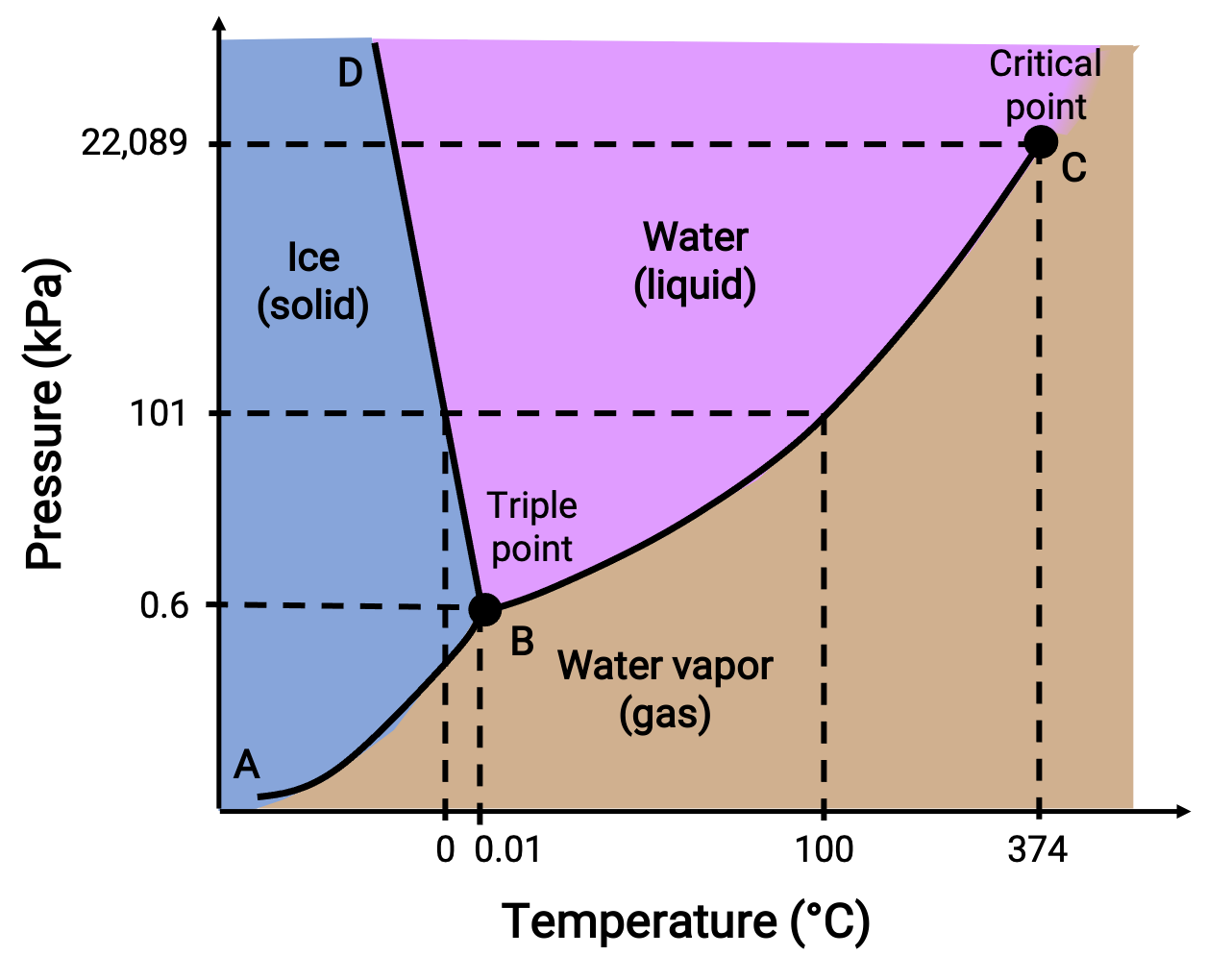 Image2