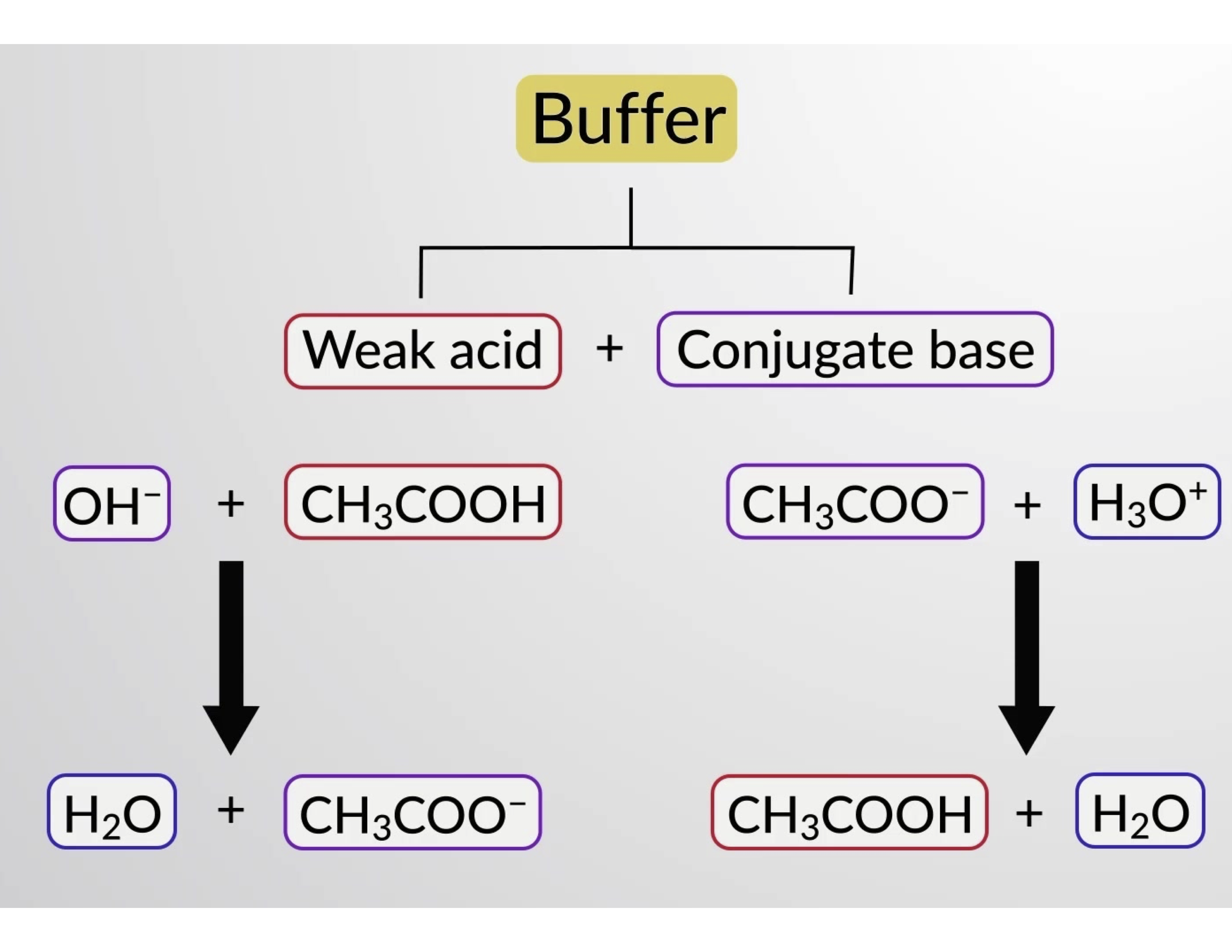 Buffer system diagram; weak acid-base reaction equations with CH3COOH, CH3COO⁻, OH⁻, H3O⁺, H2O.