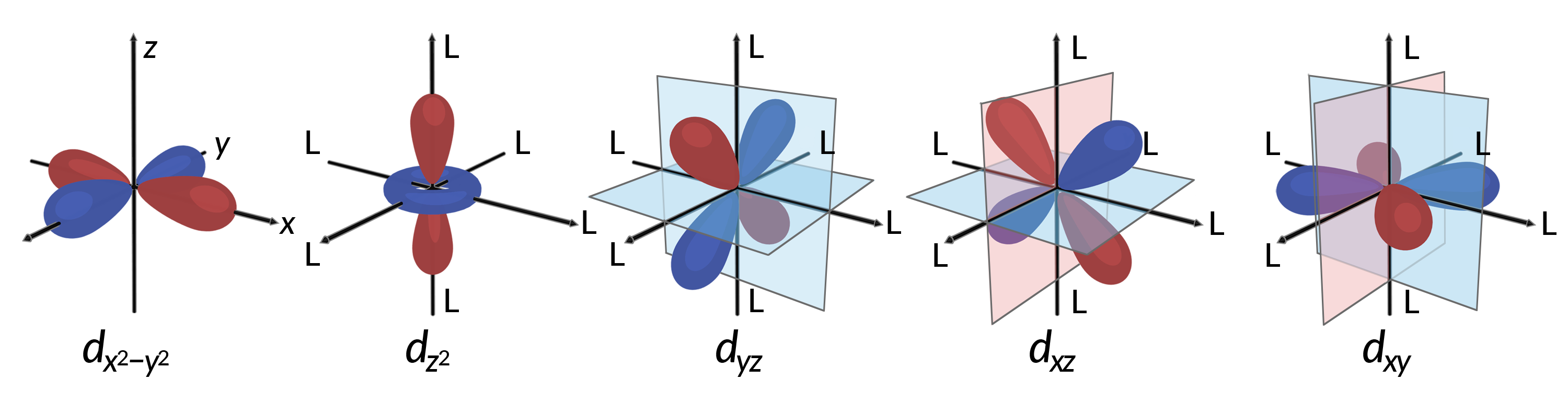 Image1