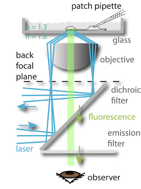 figure-protocol-10848