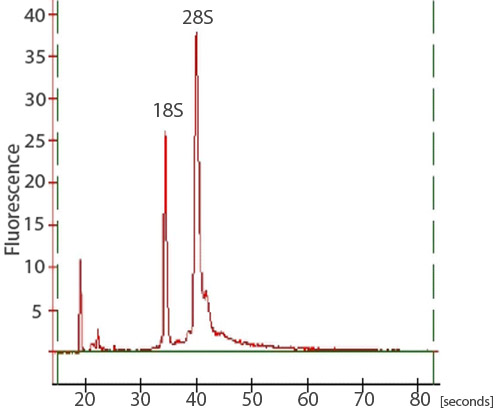 figure-protocol-15165