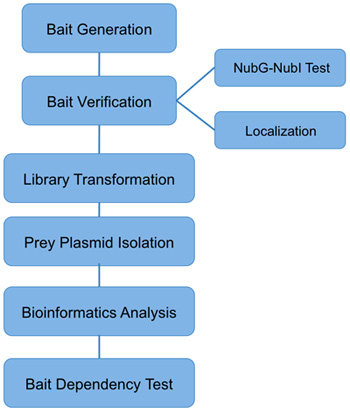 figure-protocol-16767 figure-protocol-16767