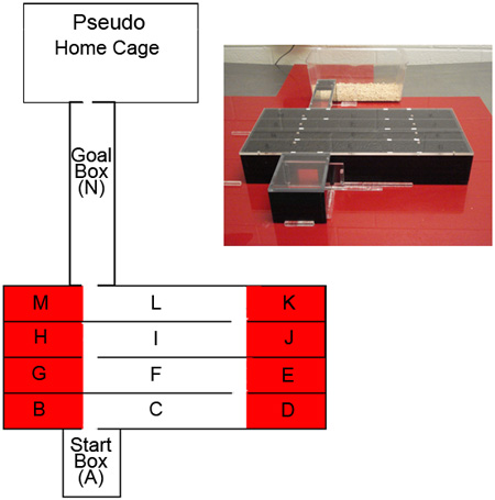 figure-protocol-3855
