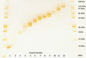 figure-protocol-6342