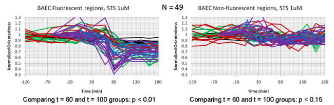 figure-protocol-16273