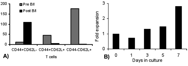 figure-protocol-5450