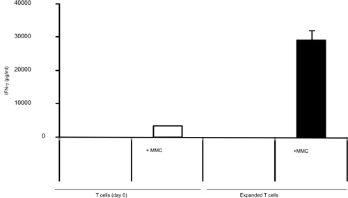 figure-protocol-6001