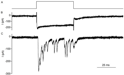 figure-protocol-9355 figure-protocol-9355