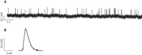 figure-protocol-9825 figure-protocol-9825