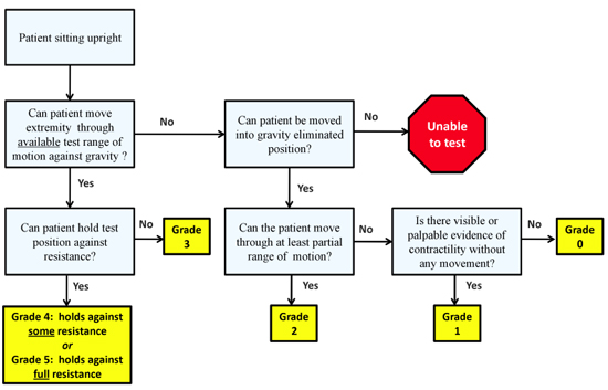figure-protocol-1309
