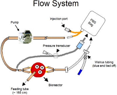 figure-protocol-9925