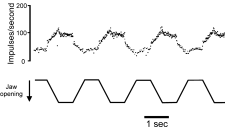 figure-protocol-13029