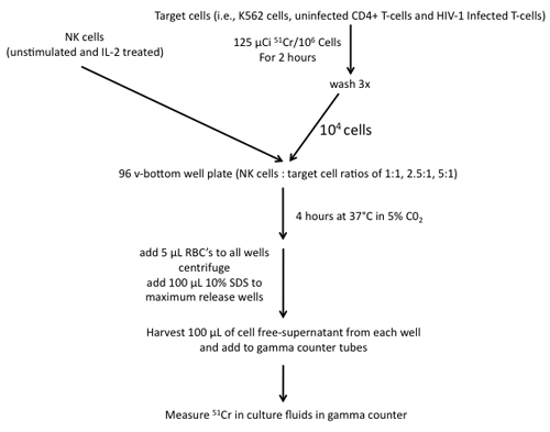 figure-protocol-20926