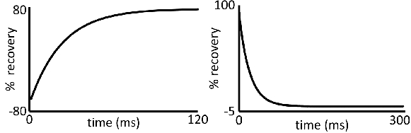 figure-protocol-12426