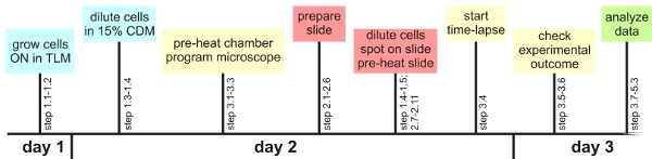 figure-protocol-22700